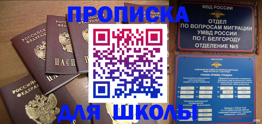 прописка гарантия в Борзе